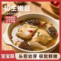 金堂羊肚菌巨鲜羊肚菌四川金堂茬滋补食材金堂特产干货营养菌菇煲汤炖鸡火锅 羊肚菌 到手50g  约90-105朵