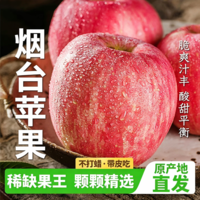 正鲜季(ZHENGXIANJI)烟台苹果烟台红富士苹果正宗脆甜冰糖心整箱批发当季新鲜水果栖霞 【甄选特大果】果径85mm-90mm 【实惠装】5斤 | 净重4.8斤