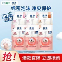 狮王（Lion）趣净泡沫洗手液99.9%抑菌保湿儿童成人通用 原装进口 洗手液草莓香+爽肤香200ml共6袋