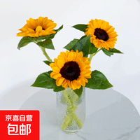【专享】云南鲜花黑心向日葵3枝鲜花礼物水养鲜花云南基地直发 向日葵3枝