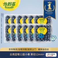 怡颗莓Driscoll\'s 云南蓝莓12mm+ 12盒装 约125g/盒 新鲜水果 源头直发