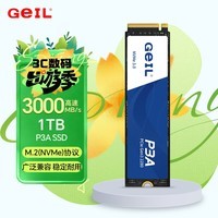 GEIL金邦 1TB SSD固态硬盘 M.2接口PCIe 3.0（NVMe协议）台式机笔记本硬盘  高速3000MB/S P3A系列