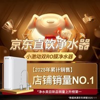 小激动母婴款高端净水器家用纯水机600G 进口双RO反渗透膜片大流量直饮机 厨房自来水过滤净水机直饮龙头 14页双RO膜零陈水（自行安装）