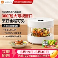 小米米家透明蒸汽电饭煲4-5人电饭锅4L大容量内胆可视预约保温简约多功能家用智能蒸炖煮电炖锅MFB04CM