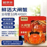 【活蟹】鲜京采鲜活大闸蟹 全母蟹3.0两 4对8只 去绳足重 蟹类生鲜螃蟹礼盒