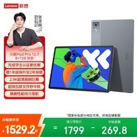 联想小新PadPro12.7 2025款平板电脑 2.9K高刷全面屏 娱乐学习 10200mAh 8+128G大象灰