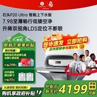 石头（roborock）扫地机器人P20 Ultra Plus / Max扫拖洗烘一体机自动集尘热水洗拖布烘干擦地拖地 P20 Ultra 上下水版