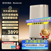 格力双变频除湿机家用抽湿干衣轻音节能防潮霉离子净化香薰盒语音智控60升/天DH60FTA1A(WIFI)时麦金