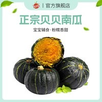 自然搭档 正宗贝贝南瓜 粉面香甜小南瓜 新鲜蔬菜香甜软糯产地直发 净重 4.5斤 （3-8个）