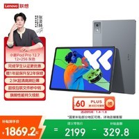 联想小新PadPro12.7 2025款平板电脑 2.9K高刷全面屏 娱乐学习 10200mAh 12+256G大象灰