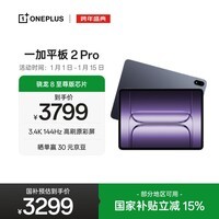 一加平板 2 Pro【国家补贴】13.2英寸平板电脑骁龙8至尊版芯片12GB+512GB 深海蓝 游戏办公学生
