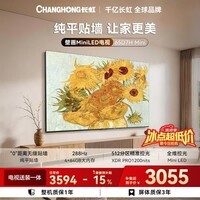长虹电视65英寸【包安装】Mini LED 512分区 288Hz高刷 65D7H Mini 国家补贴15%