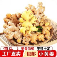 产地直发云南小黄姜新鲜生姜黄姜调味料新鲜蔬菜生鲜 3斤 装