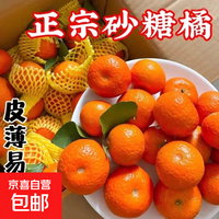 正宗广西砂糖橘沙糖桔新鲜水果当季蜜桔桂林橘子贡柑整箱 带箱1斤 小果（30-40mm）