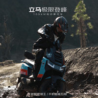 立马(LIMA)电动摩托车极限登峰【品牌旗舰】3500W峰值功率超强劲电机72V38Ah大动力电动车 浅塔灰