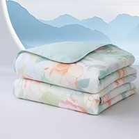 水星家纺出品百丽丝 A类可水洗夏凉被茶氨酸抗菌夏被空调被夏季被芯 漫雅花朝夏被&清新绿 200cm*230cm