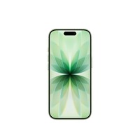 Apple/苹果 iPhone 17 256GB 鼠尾草绿色 支持移动联通电信5G 双卡双待手机【返电信话费券】