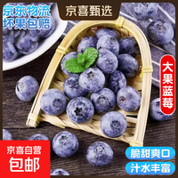 国产云南蓝莓【多地JD快递】新鲜蓝莓超大果 孕妇精选水果 4盒装 单盒净重70g+【70-90g/盒】 中果【单果15mm+】