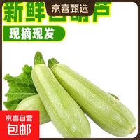 山东新鲜西葫芦三月瓜现摘现发 西葫芦 2斤 带箱