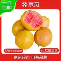 京觅福建红心芭乐 番石榴 应季 低糖孕妇水果 单果150g 净重3斤装