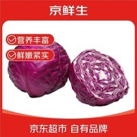 京鲜生云南新鲜紫甘蓝净重5斤单果200g+卷心菜甘蓝 新鲜蔬菜源头直发