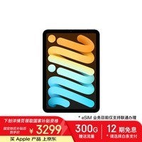 Apple iPad mini 7 2024款蓝色版