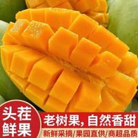集南鲜 海南芒果 新鲜热带整箱大青皮金煌芒 当季水果青玉芒果 含箱5斤 单果200g起 净重4.5斤