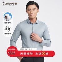 才子（TRIES）优质棉感男士长衬衫柔软顺滑挺括有型商务休闲职业男衬衣 灰绿色 XL 40(175/92A)