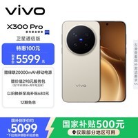 vivo X300 Pro 卫星通信版 12GB+256GB 旷野棕 蔡司2亿APO超级长焦 蓝图影像双芯 拍照 AI手机