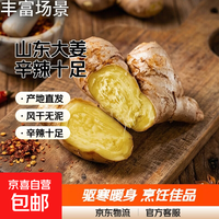 山东新鲜大姜超市生鲜蔬菜老姜净姜优质生姜老姜风干姜辛辣十足 1斤