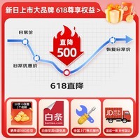 新日电动摩托车丽曼【5块铅酸电池-续航85km-1200W电机】前后液压减震30L大容量座桶家用代步车 本彩棕