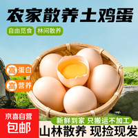 海佑农场直发新鲜土鸡蛋鲜鸡蛋五谷喂养 生鲜京东超市 土鸡蛋20枚800g+