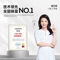 黑白调E2 Pro 人体工学椅办公椅子电脑椅人工力学座椅电竞椅学习椅