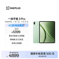 一加平板 3 Pro 国家补贴 13.2英寸平板电脑 第五代骁龙8至尊版 16GB+512GB 浅绿 办公学习游戏平板