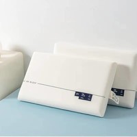 可水洗深睡记忆枕白色枕头枕芯 单只 低枕 6cm 42x70x/只