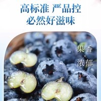 云南地头现采蓝莓花香蓝莓新鲜水果京东快递源头直供 云南蓝莓15mm+ 2盒装(单盒净重100g)