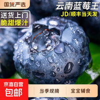 花香蓝莓特大果 新鲜生鲜水果 当季应季直发礼盒装 中果蓝莓 4盒装*100g【15mm+】