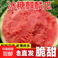 冰糖正宗麒麟西瓜脆甜西瓜8424薄皮新鲜水果自提鲜果麒麟瓜 6-8斤