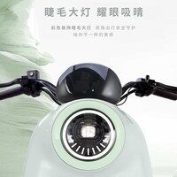 爱玛（AIMA）【上海专属】爱朵新国标可上牌长续航大电池电动自行车电瓶车 到店选色提车