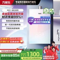 万家乐【安睡洗RG1(F)·节能静音双一级】燃气热水器16升国家补贴15%天然气下置风机密闭稳燃舱以旧换新