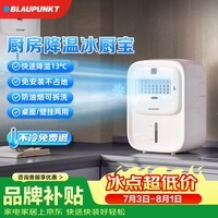 蓝宝(BLAUPUNKT)冰雾扇厨房电风扇家用厨房降温神器专用小型水冷空调扇加湿风扇冷风机无冰晶节能低噪可拆洗壁挂X6