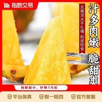 海南正宗金钻凤梨台农17号新鲜水果树熟手撕 带箱5斤装 净重4.5斤装【单果650g起】