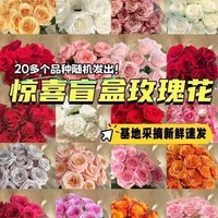 与花同行玫瑰盲盒鲜花随机玫瑰云南基地直发室内办公室批发送礼节日花束 【10枝】随机玫瑰 随机颜色，品种，不支持指定