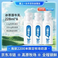 塞上一头牛冰萃厚牛乳228ml*6瓶 6.6g蛋白质高原牧场 低温鲜奶 源头直发包邮