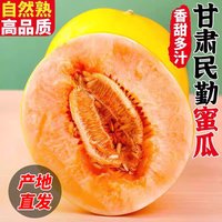 久雅优鲜甘肃民勤蜜瓜 沙漠甜瓜 黄金蜜瓜新鲜时令水果整箱批发 净重6-7斤装(2个)