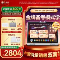 作业帮AI学习机T30【买贵赔】学练机平板电脑教材同步学名师大招课 护眼屏12.7\'\'8+256G
