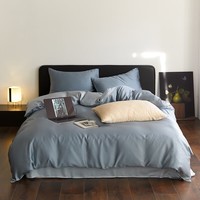 AIDLI60支兰精天丝四件套 A类莱赛尔凉感丝滑轻奢床上套件 灰蓝色-冰川灰1 四件套 床单款 （被套200*230cm）