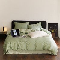 AIDLI60支兰精天丝四件套 A类莱赛尔凉感丝滑轻奢床上套件 香奈儿绿-嫩叶绿 四件套 床单款 （被套200*230cm）
