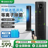 格力（GREE）空调扇家用冷风扇卧室静音电风扇冷塔扇等离子客厅办公落地扇加湿冷风机节能省电循环扇 遥控款【等离子】6L
