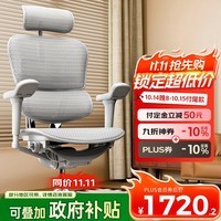 Ergonor保友金豪b雄鹰 人体工学椅护腰办公椅子电脑椅电竞椅 银白网